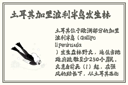 随时随地都能干的学校教师的特点